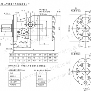 BMH系列交错油口江南官方网站马达